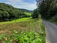Zipperberg / Raffenberg da Elfringhauser Strasse