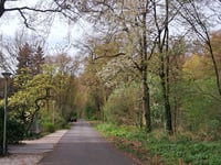 Zonneheuvelweg