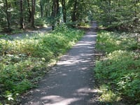Zonneoordlaan von Ede