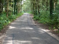 Thijsselaan über Zoomweg