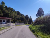 Zore von Campo di Bonis / Buona