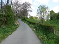 Nidrum via Feldstrasse