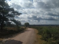 Zuiderheide