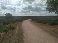 Zuiderheide