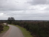 Zuiderheide