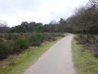 Zuiderheide