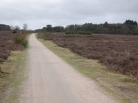 Zuiderheide