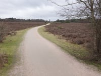 Zuiderheide