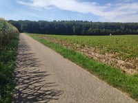 Zum Brandenberg da Frasselt