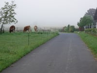 Zum Burgberg von Lösnich