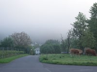 Zum Burgberg von Lösnich