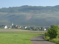 Zum Burgberg von Lösnich