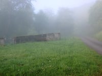 Zum Burgberg von Lösnich