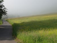 Zum Burgberg von Lösnich