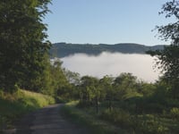 Zum Burgberg von Lösnich