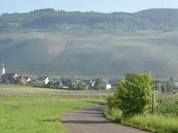 Zum Burgberg von Lösnich