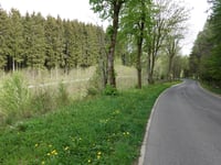 Zum Giesberg über Berg