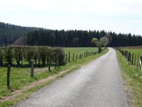Zum Konnenbusch from Berg