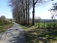 Zum Konnenbusch from Berg