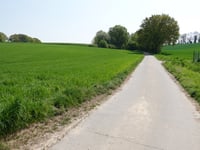 Zum Rommelschläger von Süggerath