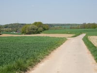 Zum Rommelschläger von Süggerath