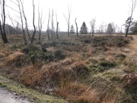 Zum Struffelt von Rott