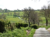 Zum Walkerstal von Nidrum