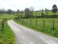 Zum Walkerstal von Nidrum