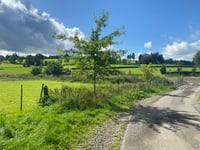 Zum Walkerstal von Nidrum