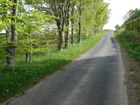 Zum Wirtzbach da Wirtzfeld