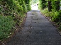 Zur Fernzicht via An den Fichten