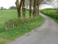 Zur Holzwache von Warche