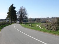 Zur Holzwarche von Wirtzfeld