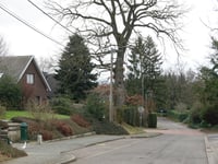 Zur Nohn von Kettenis