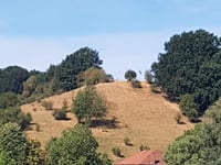 Slingerberg / Zusserdel