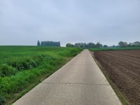 Zwart Kruisstraat from Zichen