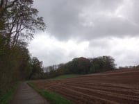 Zwarte Hei über Hoddelsley