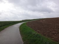 Zwarte Hei über Hoddelsley