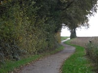 Zwarte Hei über Hoddelsley