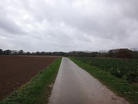 Zwarte Hei über Hoddelsley