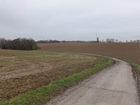 Zwarte Hei über Hoddelsley