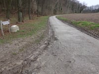 Zwarte Hei über Hoddelsley