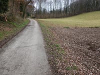 Zwarte Hei über Hoddelsley