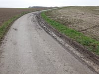 Zwarte Hei über Hoddelsley