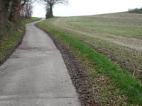 Zwarte Hei über Hoddelsley
