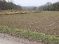Zwarte Hei über Hoddelsley