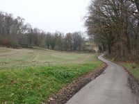 Zwarte Hei über Hoddelsley