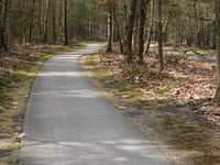 Het Zwolsche Bosch da Wapenveld
